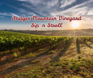 Badger Mountain Vineyard Sip 'n Stroll